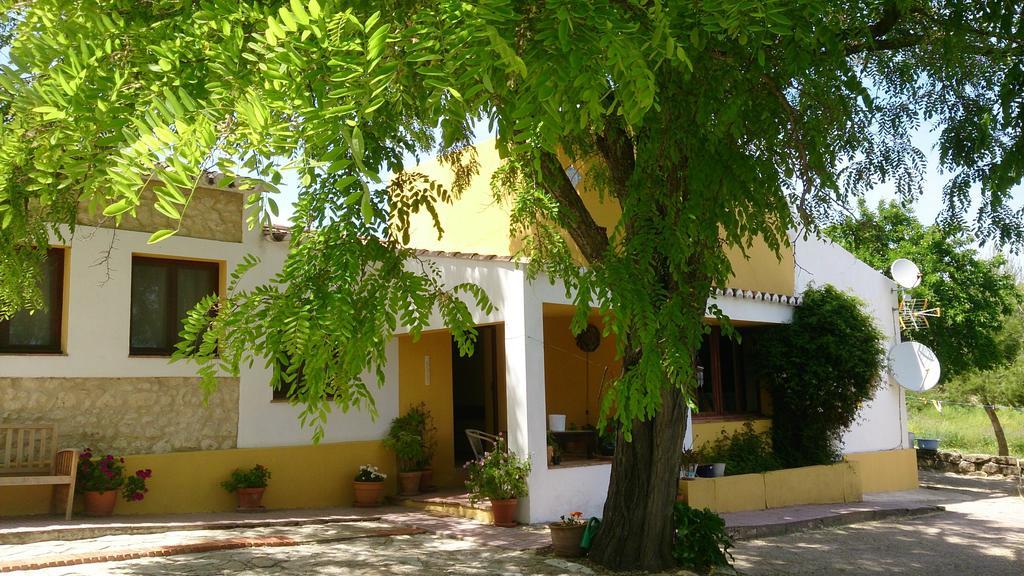 Bed and Breakfast La Escuela Del Campo Setenil De Las Bodegas Экстерьер фото